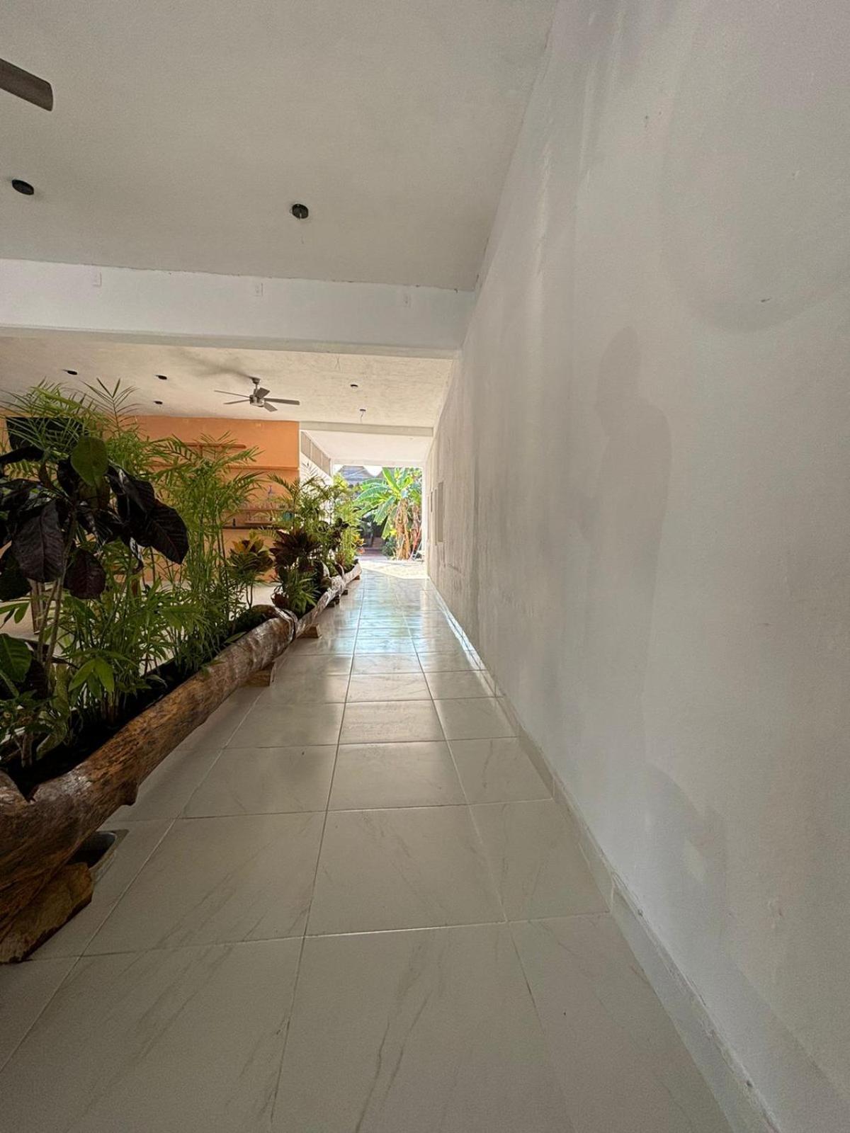 Apartament Lura Bacalar Zewnętrze zdjęcie